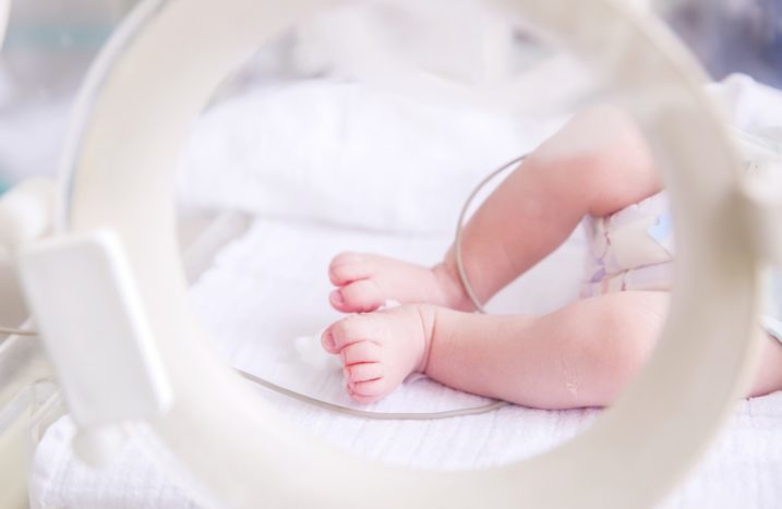 prematüre bebeklerin bakımı